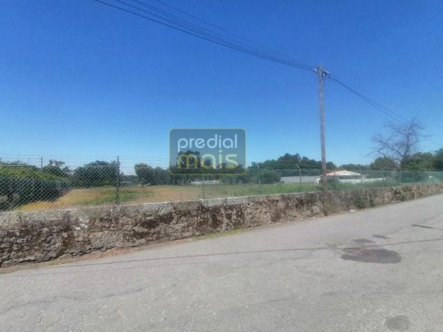Vila Nova de Famalicão Vila Nova de Famalicão 102527412