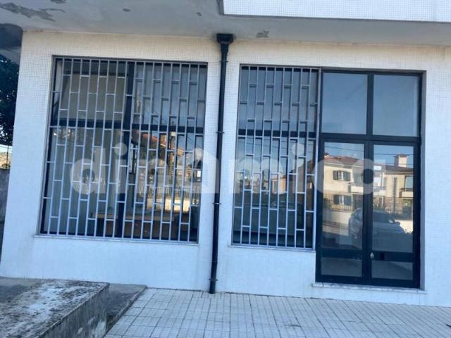 Vila Nova de Famalicão Vila Nova de Famalicão 103609232