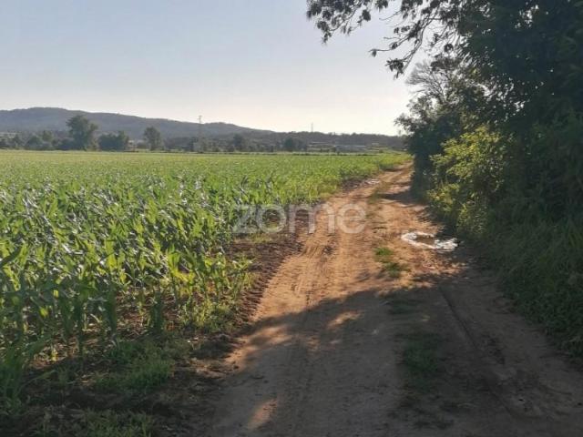 Vila Nova de Famalicão Vila Nova de Famalicão 103635744