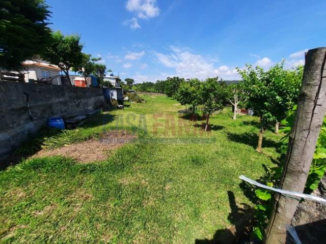 Vila Nova de Famalicão Vila Nova de Famalicão 90997385