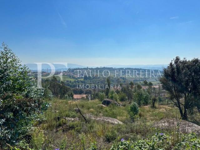 Vila Nova de Famalicão Vila Nova de Famalicão 95147709