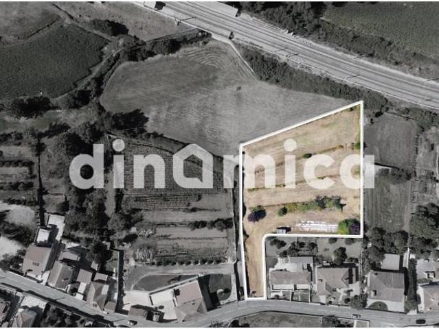 Vila Nova de Famalicão Vila Nova de Famalicão 95148868