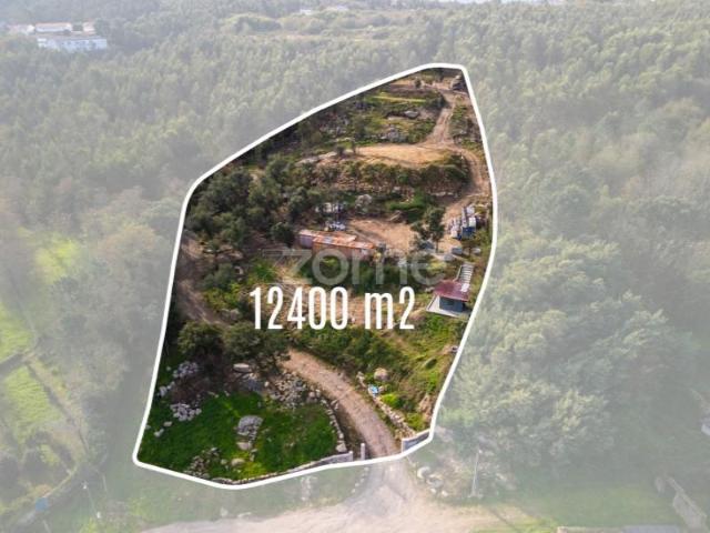 Vila Nova de Famalicão Vila Nova de Famalicão 96433767