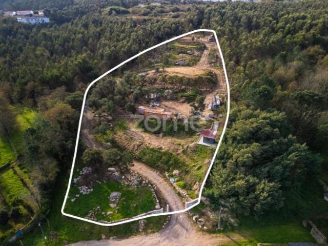 Vila Nova de Famalicão Vila Nova de Famalicão 96433767