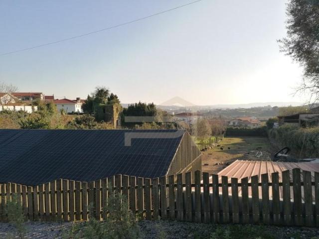 Vila Nova de Famalicão Vila Nova de Famalicão 97639977