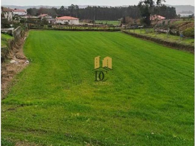 Vila Nova de Famalicão Vila Nova de Famalicão 97267121