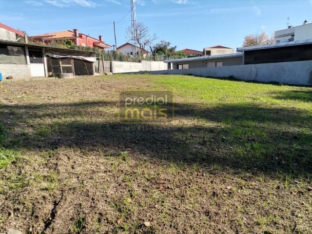 Vila Nova de Famalicão Vila Nova de Famalicão 98150643