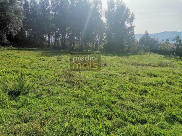 Vila Nova de Famalicão Vila Nova de Famalicão 98277489