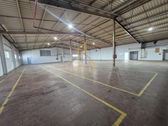 Vila Nova de Famalicão Vila Nova de Famalicão 98319543