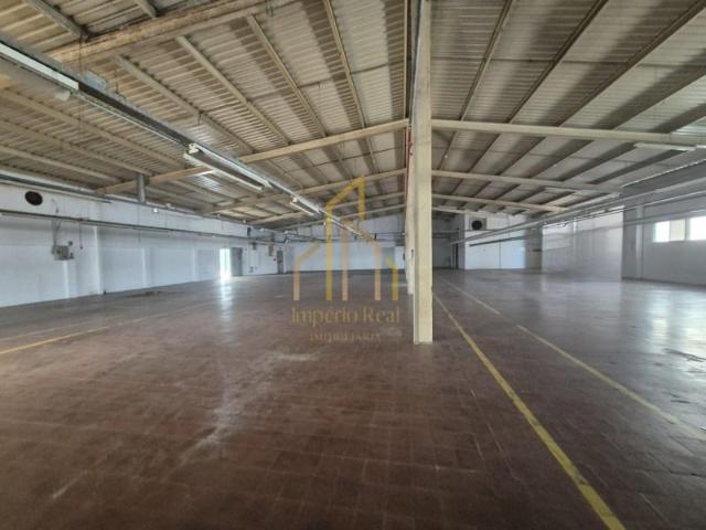 Vila Nova de Famalicão Vila Nova de Famalicão 98319543