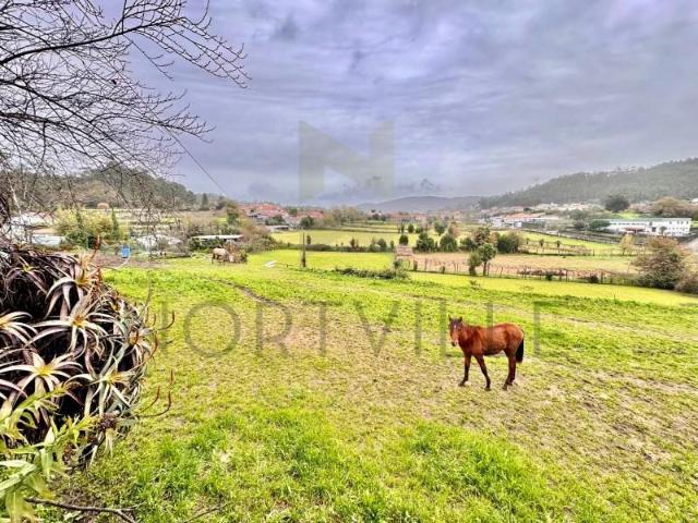 Vila Nova de Famalicão Vila Nova de Famalicão 99472260