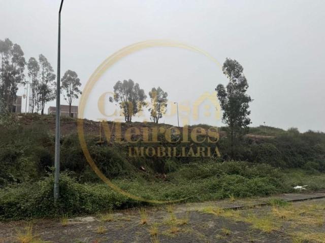 Vila Nova de Famalicão Vila Nova de Famalicão 99729083