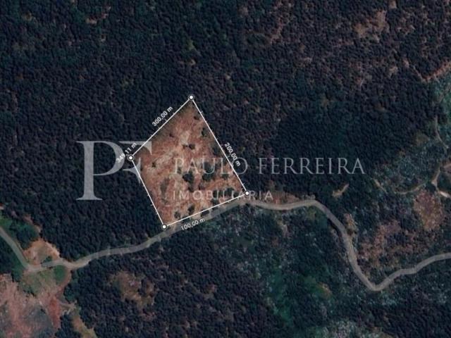 Vila Nova de Famalicão Vila Nova de Famalicão 99237804