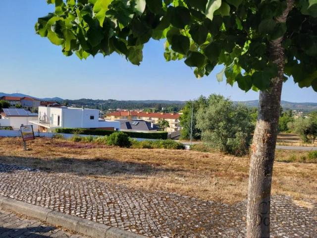 Vila Nova de Poiares Vila Nova de Poiares 102811146