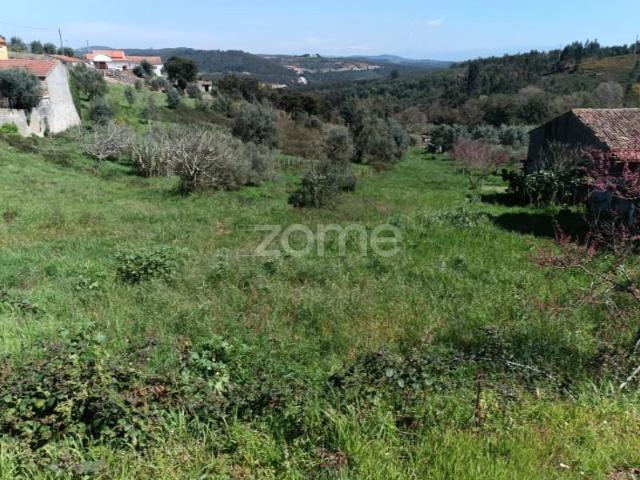 Vila Nova de Poiares Vila Nova de Poiares 102958660