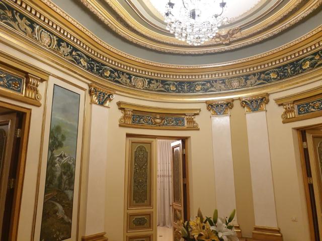 VILA CU ARHITECTURA SPECTACULOASA DACIA