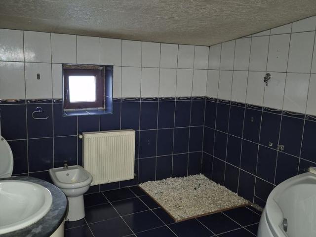 Vila cu 6 camere de inchiriat Piata Muncii Calarasilor