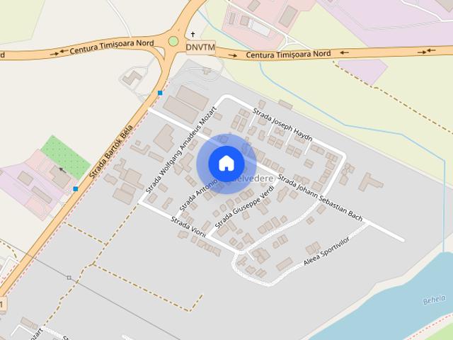 Vila de inchiriat Dumbravita, mobilata si utilata