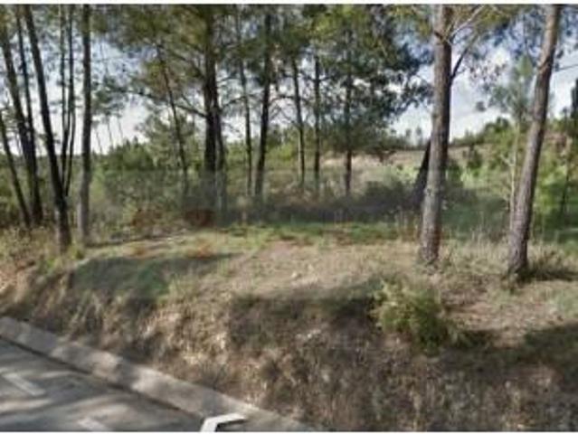 Vila de Rei Vila de Rei 95875729