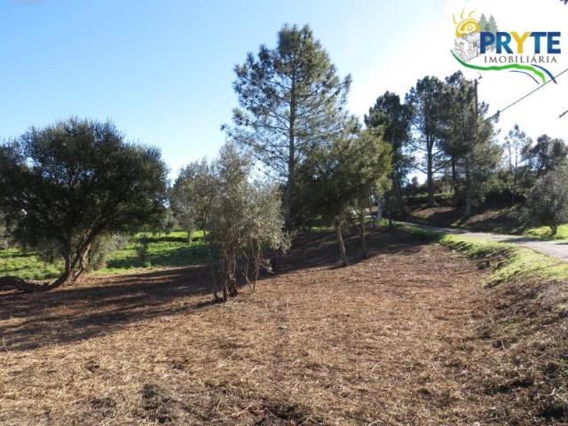 Vila de Rei Vila de Rei LS87561117