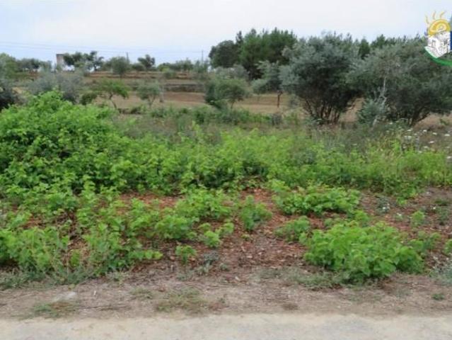 Vila de Rei Vila de Rei LS96008506