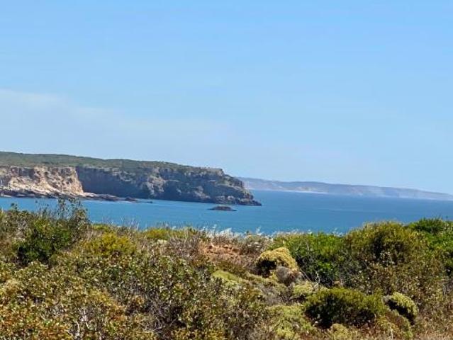 Vila do Bispo Algarve 50023171