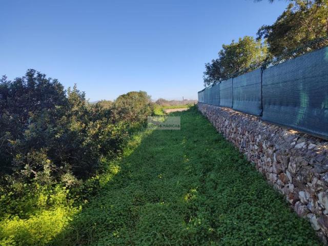 Vila do Bispo Algarve 59926557