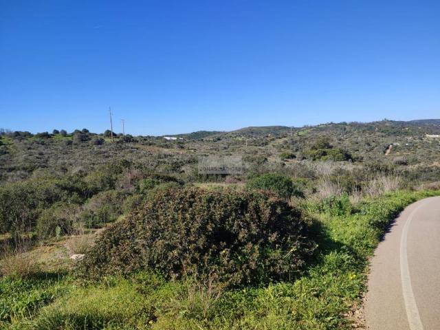 Vila do Bispo Algarve 66628571