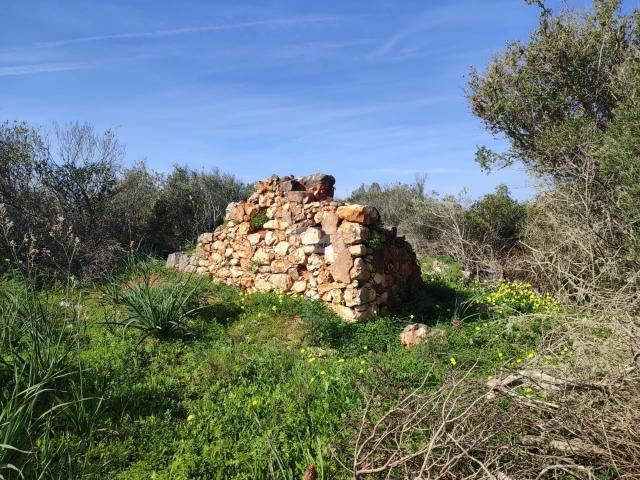 Vila do Bispo Algarve 73216891