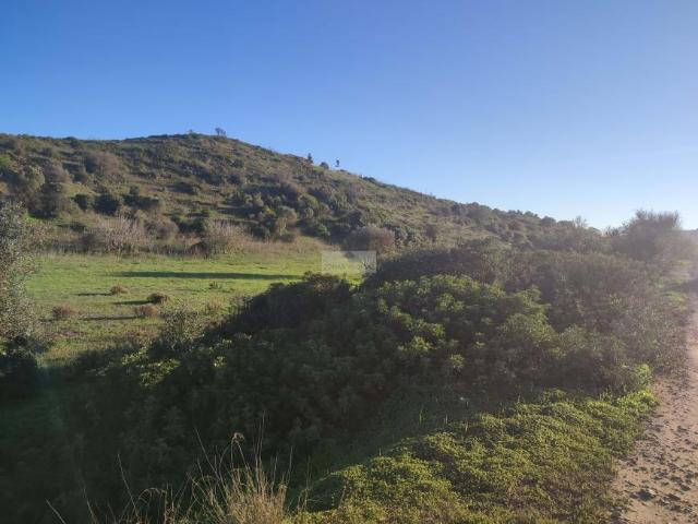 Vila do Bispo Algarve 78450580