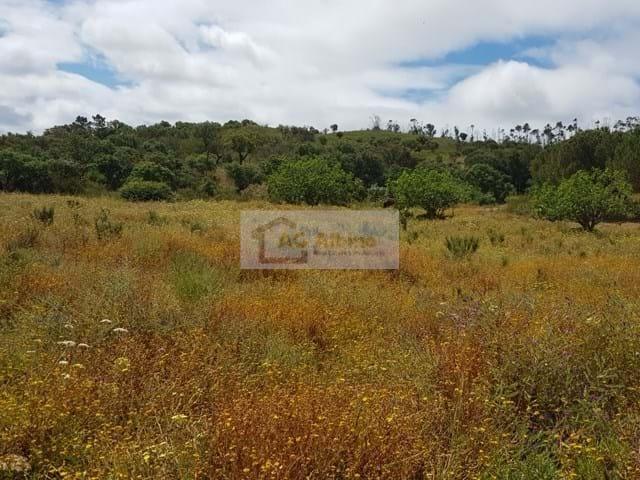 Vila do Bispo Algarve 86006127