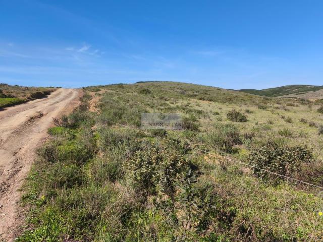 Vila do Bispo Algarve 87417863
