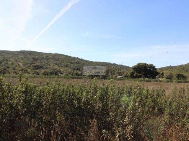 Vila do Bispo Algarve 87417874