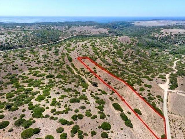 Vila do Bispo Algarve 87838964