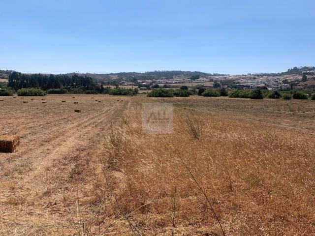 Vila do Bispo Algarve 92746275