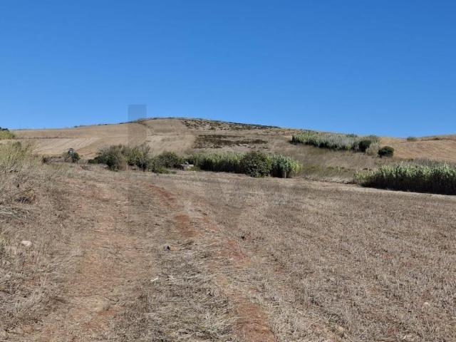 Vila do Bispo Algarve 95221955