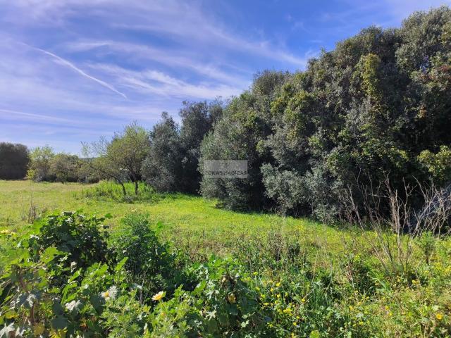 Vila do Bispo Algarve LS61124700