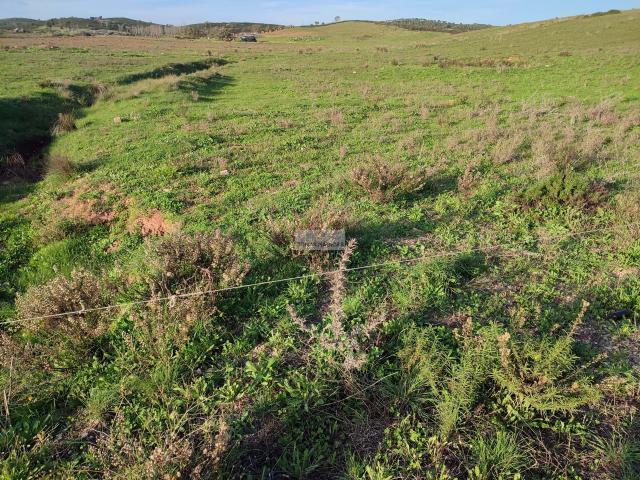 Vila do Bispo Algarve LS72073284
