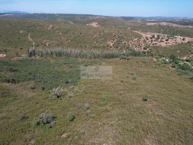 Vila do Bispo Algarve LS96931382
