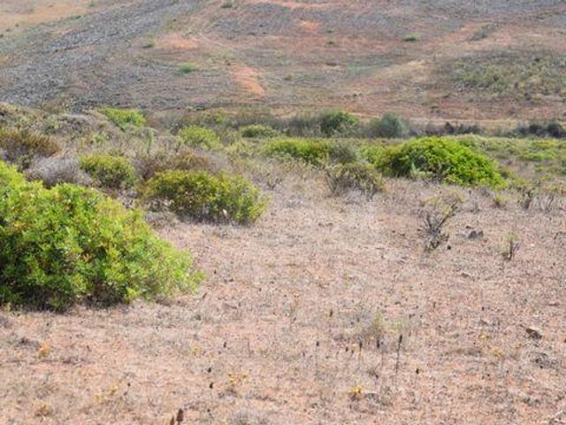 Vila do Bispo Faro LS97100840