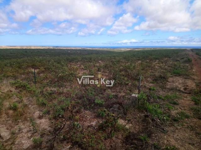 Vila do Bispo Vila do Bispo 104378823