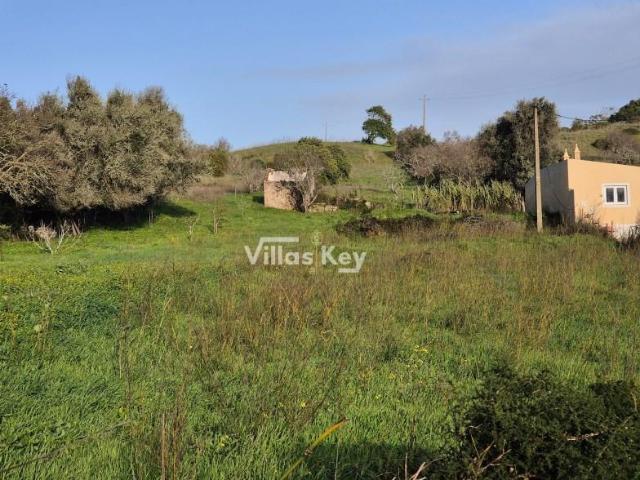 Vila do Bispo Vila do Bispo 104373571