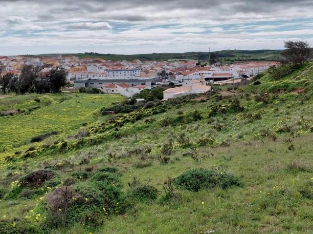 Vila do Bispo Vila do Bispo 100015609