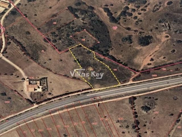 Vila do Bispo Vila do Bispo 102975593