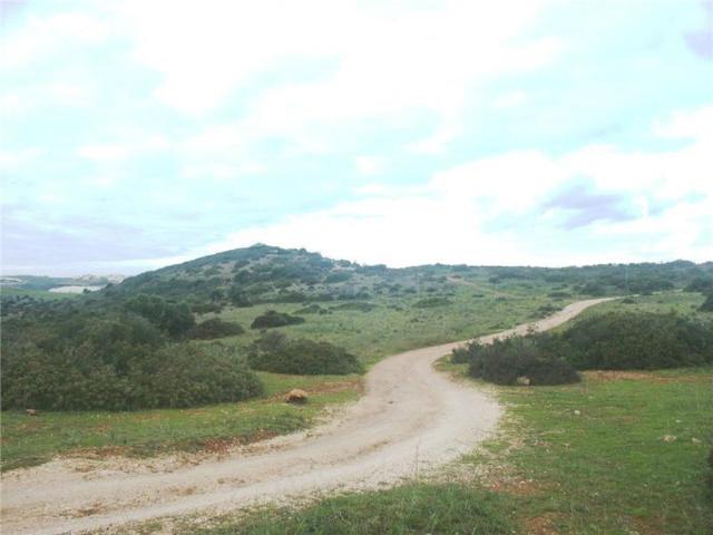 Vila do Bispo Vila do Bispo 103235558