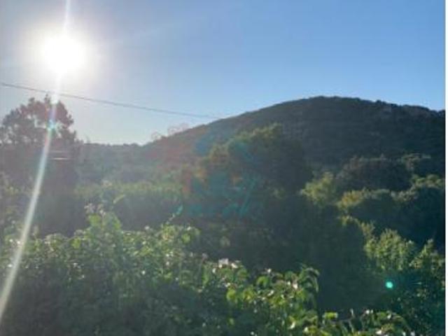 Vila do Bispo Vila do Bispo 87078307