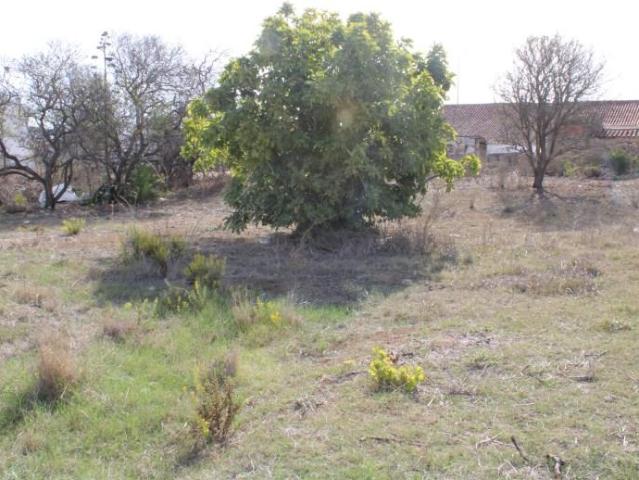 Vila do Bispo Vila do Bispo 97121275