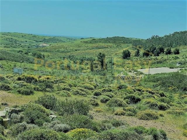 Vila do Bispo Vila do Bispo 98686287