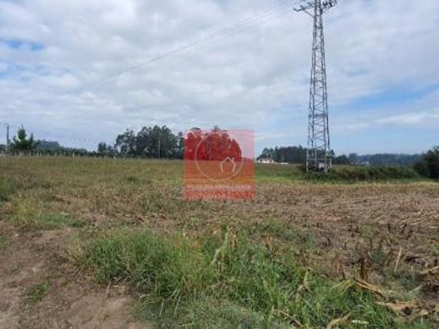 Vila do Conde Porto LS79804071