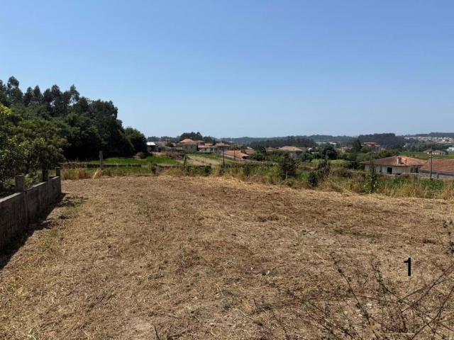 Vila do Conde Porto LS94289576